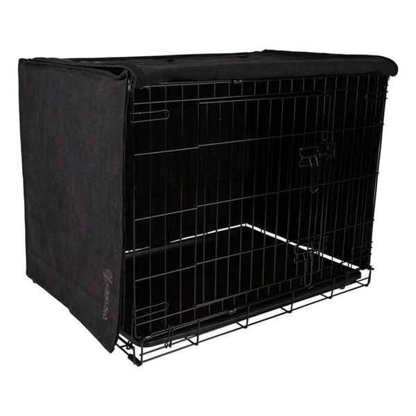 Why Does My Puppy Scratch The Bottom Of Her Crate